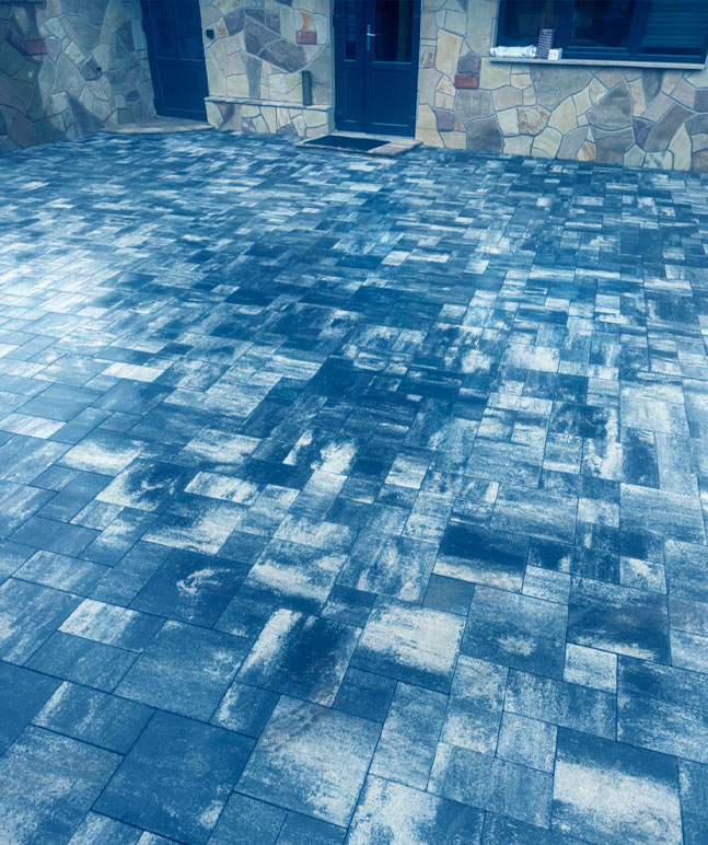 Project Detail